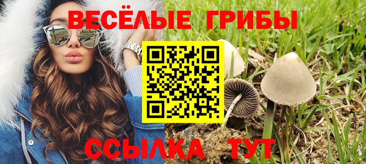 Псилоцибиновые грибы Magic Shrooms Кинель