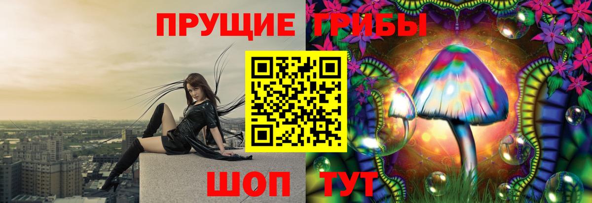 Псилоцибиновые грибы прущие грибы  Вход с VPN  Кинель 